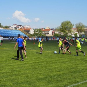 Den_fizicka_aktivnost_10052022011