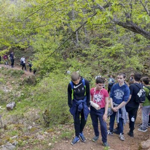 Den_fizicka_aktivnost_10052022023