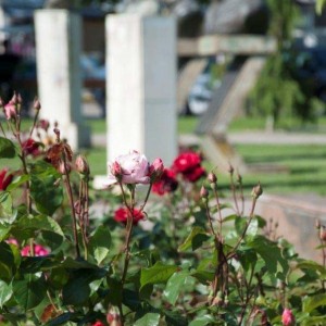 Galerija_Ohrid_01022022014