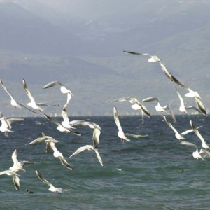 Galerija_Ohrid_01022022084