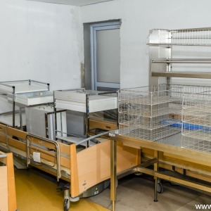 Kosnozglobna07182025008