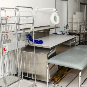 Kosnozglobna07182025010