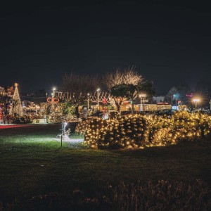 Nova_Godina_2022_20211224004