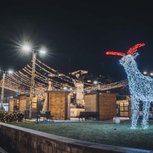 Nova_Godina_2022_20211224017