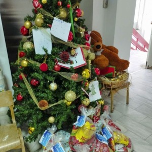 Novogodisni_paketcina_28122022007