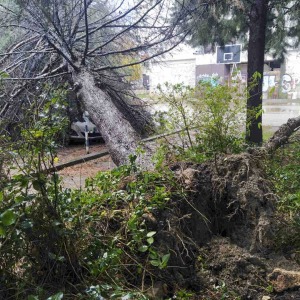 15f6f56c-f66c-4d28-a94c-cc8c01cb203b