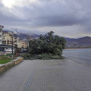 257b7e8d-b384-4f02-9865-b38d56e26898