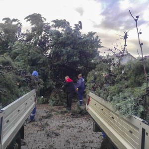 7acfef8c-16a4-46c9-a8d6-b4c932eceea8