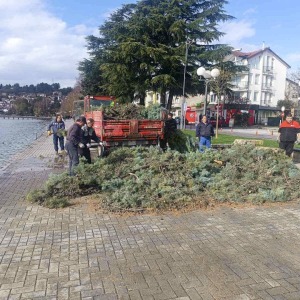 7d4a3f9d-8da2-43b9-bd4c-aeb2204ea54b