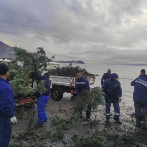 d497feda-cead-4a85-a265-3caace5b8e5a