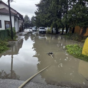 e26bd8b2-b106-458d-83aa-0800a4ccc7e2