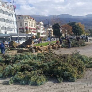 e4d39d66-a3c7-4c2d-9434-bfcd171072d2