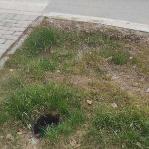 Ruinirani_povrsini_25032022021