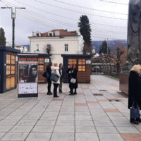 Bidi_hrabra_20211212025