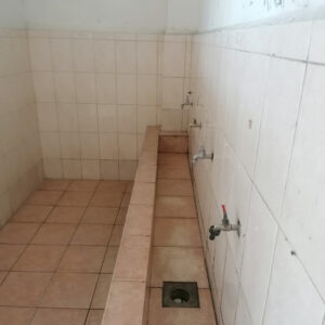 Leskajca_pred_31012023002