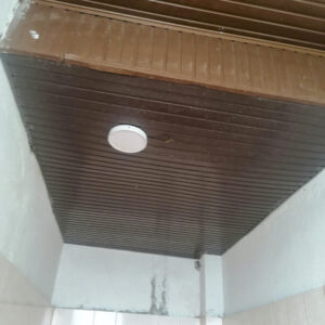 Leskajca_pred_31012023005