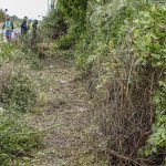 Zeleni_povrsini_09232020004